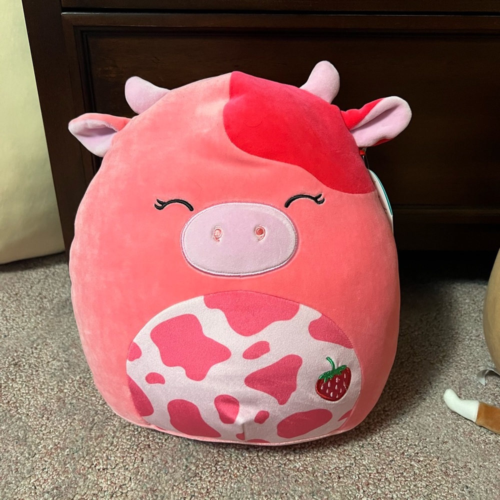 Calynda squishmallow